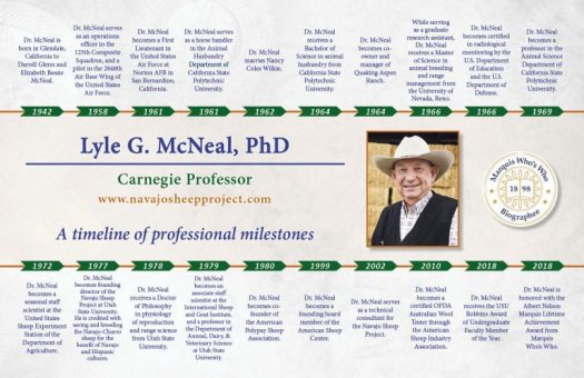 Lyle McNeal Professional Timeline